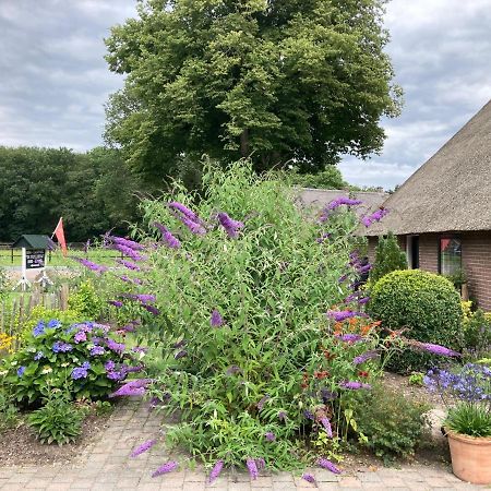 Ferienwohnung De Deelderij Schoonloo Exterior foto