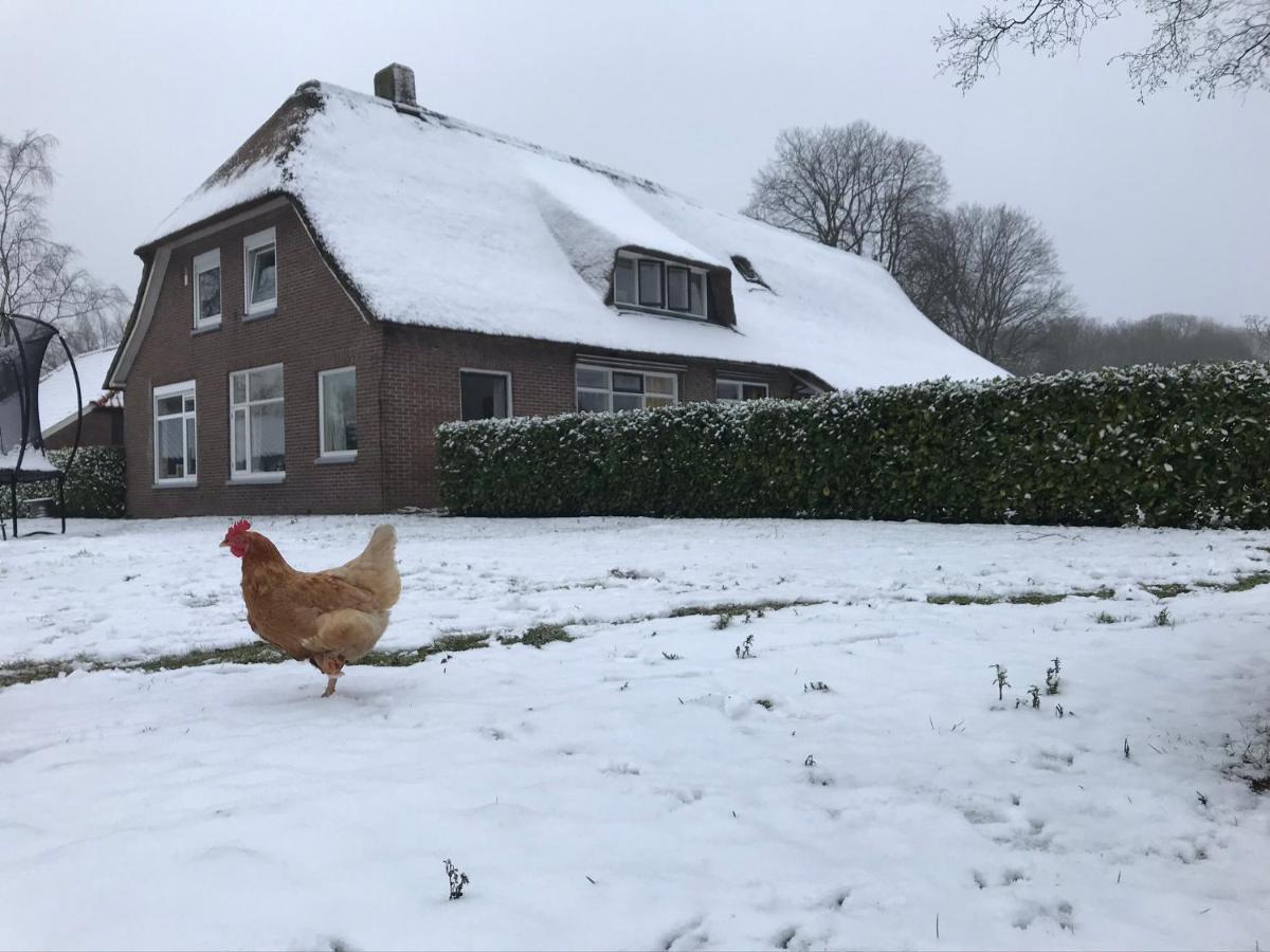 Ferienwohnung De Deelderij Schoonloo Exterior foto